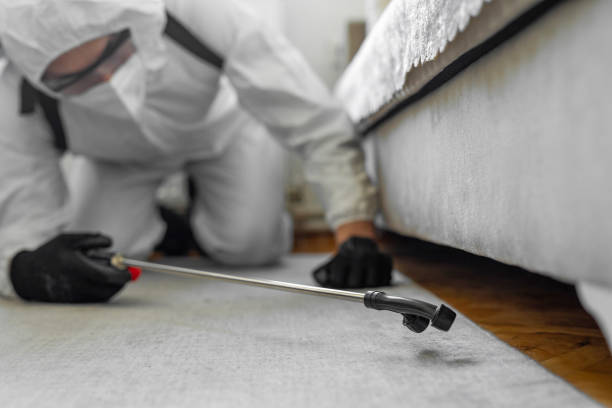 Professional Mosquito Control technician working in North Plymouth, MA
