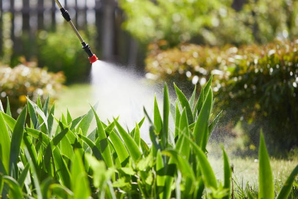 24/7 Emergency Mosquito Control experts in North Plymouth, MA