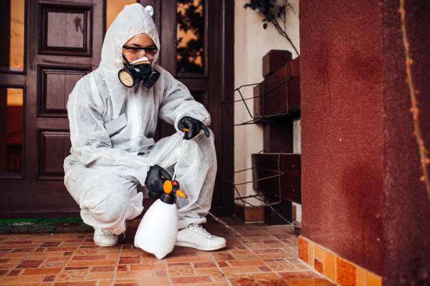 Reliable Mosquito Control contractor in North Plymouth, MA by Nex Pest Control