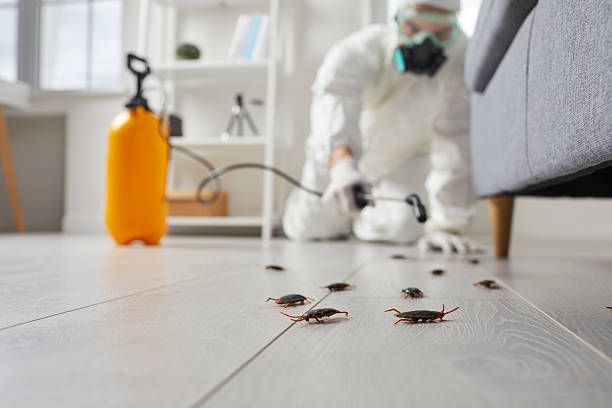 Trusted Fumigation Services service in North Plymouth, MA - Nex Pest Control