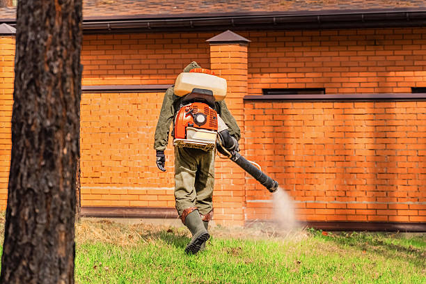 Trusted Mosquito Control service in North Plymouth, MA - Nex Pest Control